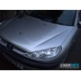 Peugeot 206 | №137060, Англия